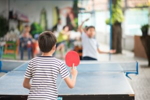 Harvil Outsider Table Tennis Table Review